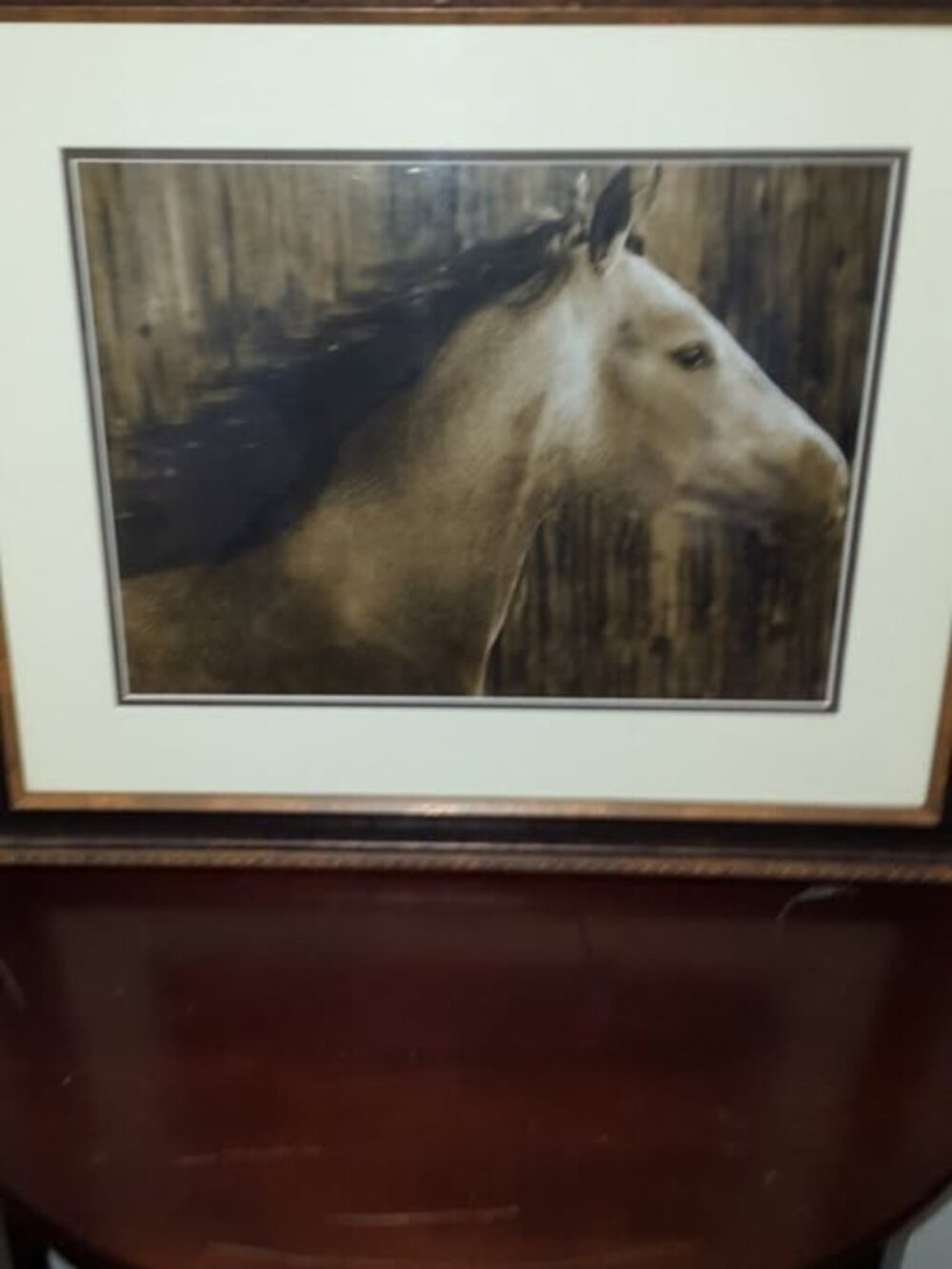 horse, frame